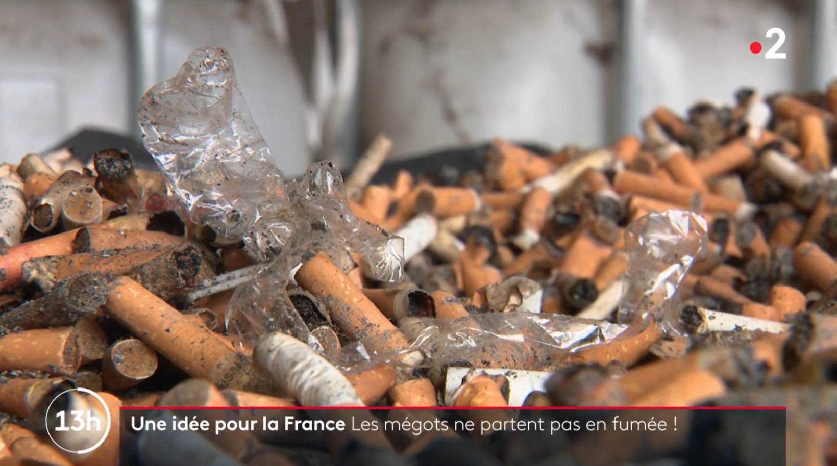 De tabac toxique à compost normé : recycler les mégots de cigarettes ...