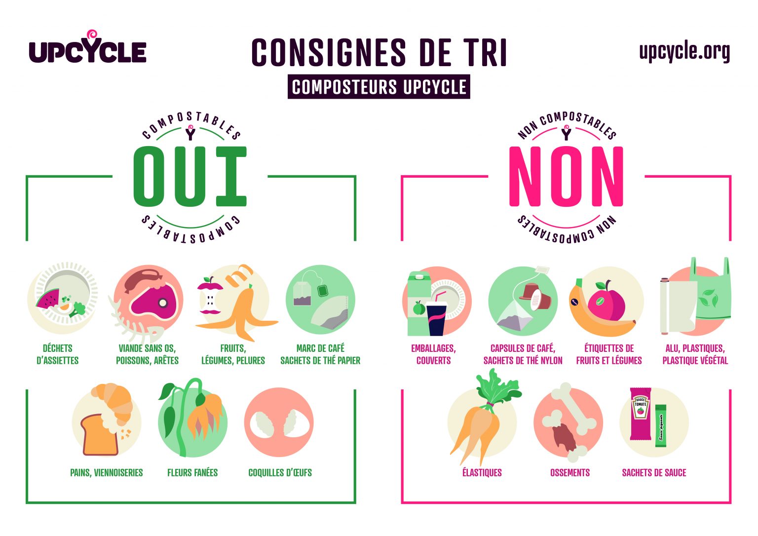 Tri des biodéchets : que mettre dans ma poubelle ? - UPCYCLE